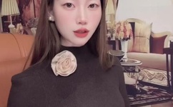 白马啸西风小说下载